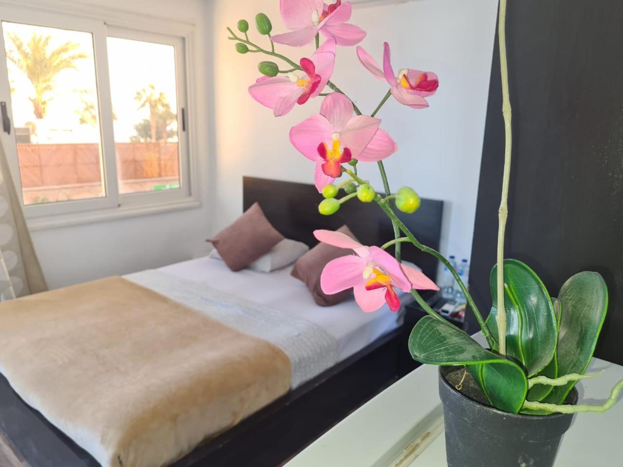 Lilly Rooms And Studio Hurgada Dış mekan fotoğraf