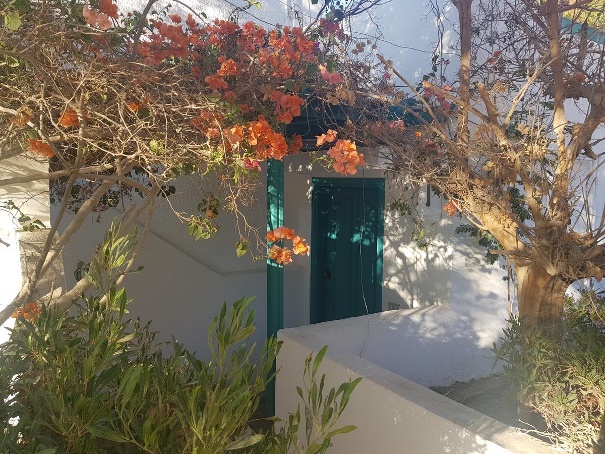 Lilly Rooms And Studio Hurgada Dış mekan fotoğraf